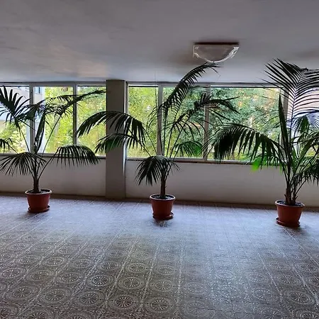 Appartement San Donato *